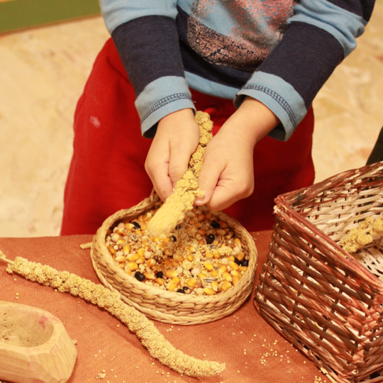 Bambino che sgrana un sorgo